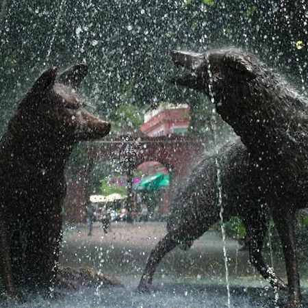 Casa Kalidy Coyoacan Città del Messico Esterno foto