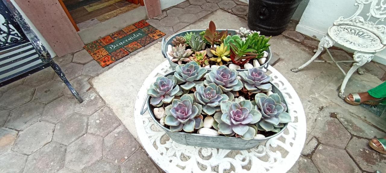 Casa Kalidy Coyoacan Città del Messico Esterno foto